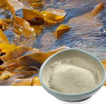 
Fucoidan
